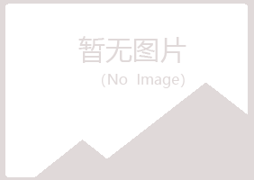 河池未来律师有限公司